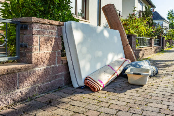 Best Yard Waste Removal  in Clinton, MI